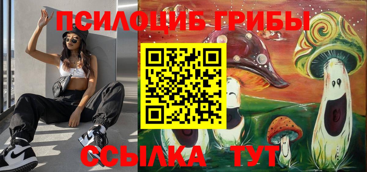 Галлюциногенные грибы MAGIC MUSHROOMS  Вход с VPN  Галлюциногенные грибы прущие грибы  Майкоп 